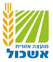שחף לוי